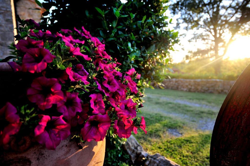 Agriturismo I Monti Semproniano Pokoj fotografie
